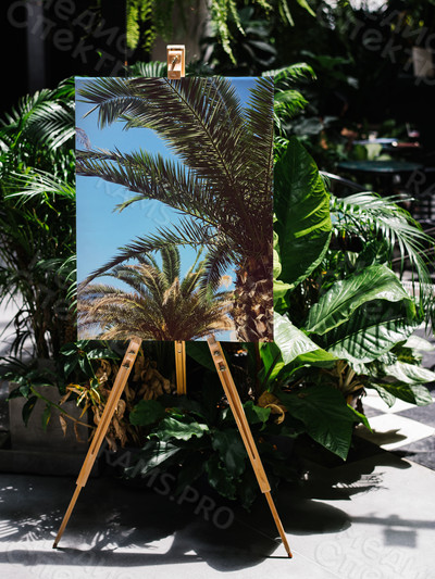 Постер 51х71см «Пальмы» — фото