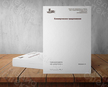 Фирменный бланк для документов А4 — фото