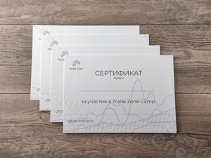Сертификаты Trade Zone Camp — фото 4