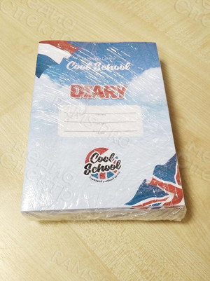 Дневник для языкового центра «COOL SCHOOL» г. Торжок — фото 8