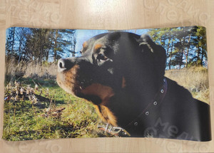 Наклейки на автомобиль «Собака» — фото 4