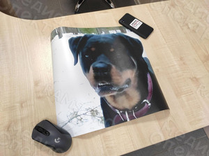 Наклейки на автомобиль «Собака» — фото 6