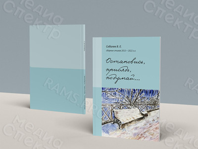 Сборник стихов автора Соболева В.Е. «Остановись, присядь, подумай...» — фото