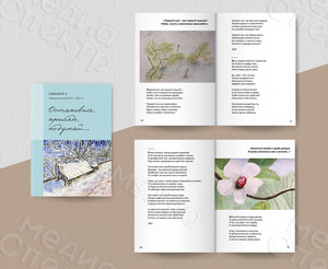 Сборник стихов автора Соболева В.Е. «Остановись, присядь, подумай...» — фото 2