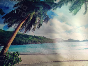 Баннеры на фасад дачного дома «Пальмы» — фото 3