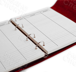 Ежедневник юриста на 2022 г. — фото 3