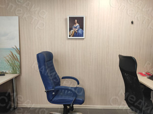 Картина-фотомонтаж – портрет в историческом стиле «Княгиня» — фото 6