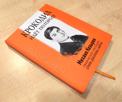 Книга «Крокодил идет по городу» — фото