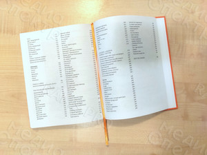 Книга «Крокодил идет по городу» — фото 6