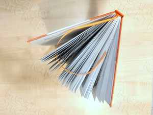 Книга «Крокодил идет по городу» — фото 16