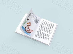 Книга сказок для детей «Про мальчика, который ел снег» — фото 3