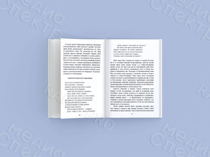 Автобиографический сборник-дневник «Из прошлого тысячелетия в нынешний век» — фото 2