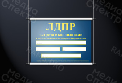 Афиша А4 на самоклейке «ЛДПР» — фото