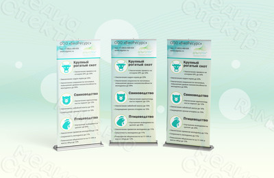 Roll up баннер 85х200см «БиоРесурс» — фото