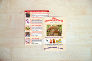 Каталог-брошюра А5 «Мир необычных товаров» — фото 3
