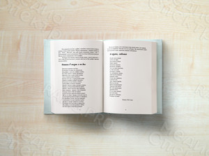 Книга А5 «Березянские просторы» авторский сборник прозы и стихов — фото 3