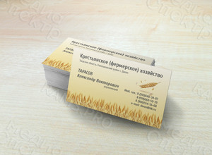 Визитки «Крестьянское (фермерское) хозяйство» — фото 2