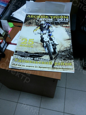 Плакат «Лесные тропы» — фото 1