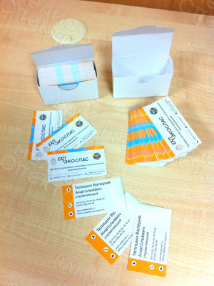 Визитка для управляющего компанией «ЕХП-ЭКОСПАС» — фото 1