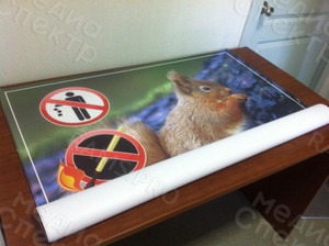 Баннер 1х1м «Берегите лес «Белка» — фото 2