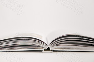 Книга «Нет школ никаких. ТОЛЬКО СОВЕСТЬ...» — фото 17