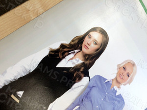 Наклейка с матовой ламинацией 0.48х1.0м «Эдельвейс» — фото 2