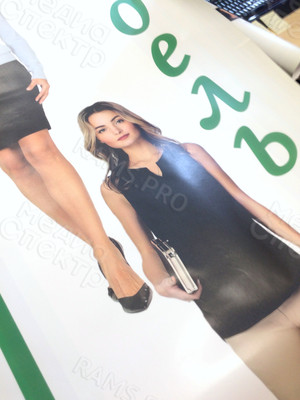 Наклейка с матовой ламинацией 1,0х2,0м «Эдельвейс» — фото 1