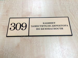 Табличка ПВХ 30х10см «Кабинет 309» — фото 2