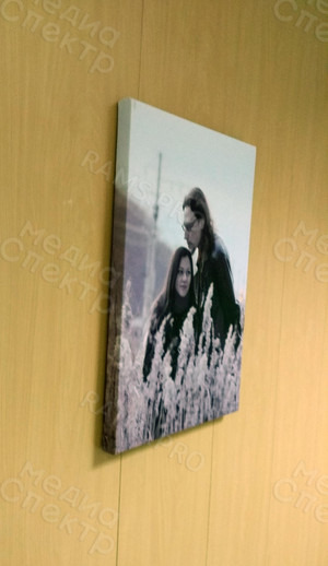 Фотокартина на холсте 30х40см «Двое в поле» — фото 2