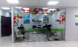 Наклейки в фитнес-клубе My Fit м/р Южный «Осенние листья 2018» — фото 4