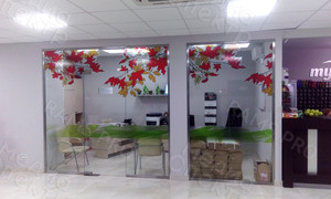 Наклейки в фитнес-клубе My Fit м/р Южный «Осенние листья 2018» — фото 5