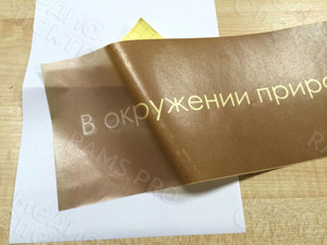 Наклейки на стеклянные двери для эко-отеля «Барская усадьба» — фото 3