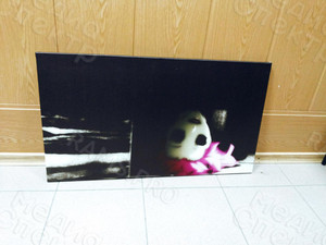 Фотокартина на холсте 80х45см «Megumi (Shiki)» — фото 1