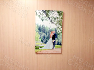 Фотокартина на холсте 50х80см «Молодожены в березовой роще» — фото 1