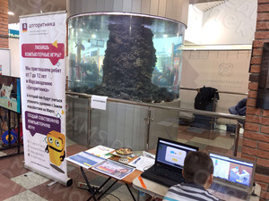 Roll up 85х200см «Алгоритмика» Марсакадемия — фото 4