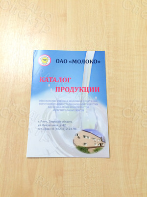 Каталог продукции формата А5 «ОАО Молоко» 2019 г. — фото 3