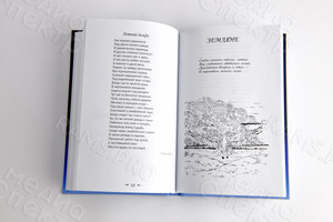 Книга лирики-сборник стихотворений Любови Гордеевой «Уроки птицы» — фото 11