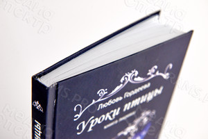 Книга лирики-сборник стихотворений Любови Гордеевой «Уроки птицы» — фото 5