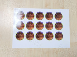 Наклейки фигурные на упаковки с муравьиными фермами «Мистер Ант» — фото 4