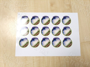 Наклейки фигурные на упаковки с муравьиными фермами «Мистер Ант» — фото 8