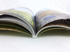 Книга-альбом «Далёкое-близкое. Родное» — фото 8