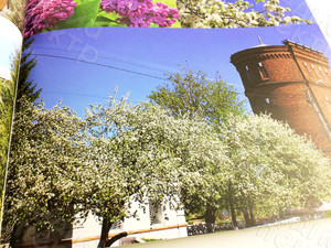 Книга-альбом «Далёкое-близкое. Родное» — фото 16