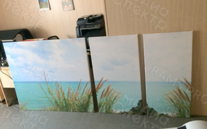 Модульные картины на холсте 3шт. «Камыш и море» — фото 2