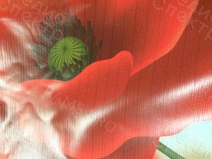 Press Wall фотозона  на свадьбу «МАКИ» — фото 3