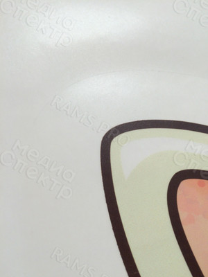 Наклейка на витрину обувного магазина «WILLI SHOES» — фото 6