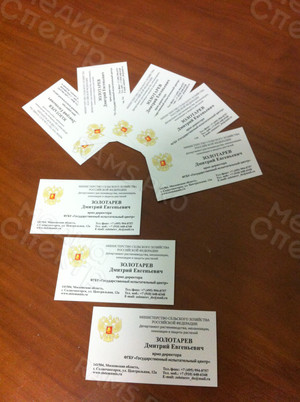 Визитка 90х50см стандартная односторонняя на картоне «Золотарев» — фото 4