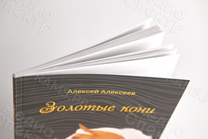Книга сборник стихов «Золотые кони», мягкая обложка, формат А5 — фото 3
