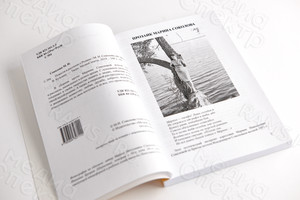 Книга А5 «Повести и рассказы о Родине» мягкая обложка — фото 5