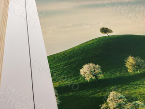 Модульные картина на холсте 4 шт. 52х112см «Зеленые горы» — фото 6