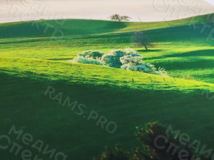 Модульные картина на холсте 4 шт. 52х112см «Зеленые горы» — фото 3